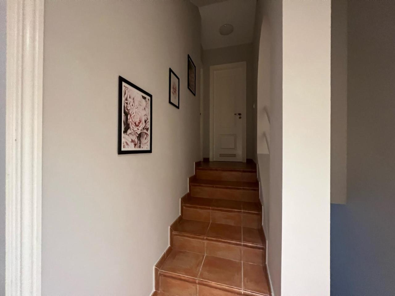 Apartment Casa Bubo
